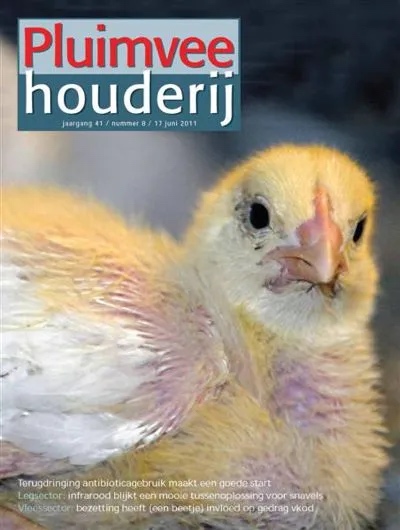 Pluimveehouderij