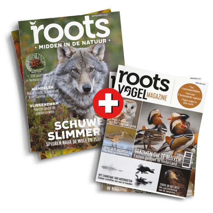 2x Vogelmagazine