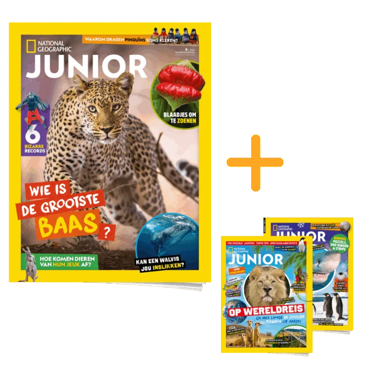 2 vakantieboeken