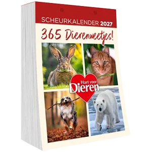 welkomstgeschenk