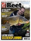 Beet