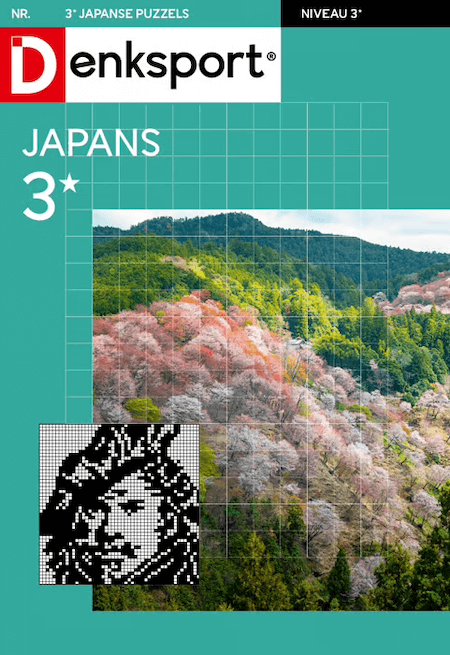 Denksport Japanse Puzzels