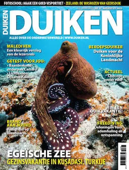 Duiken