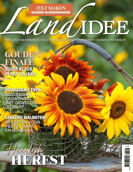 LandIdee