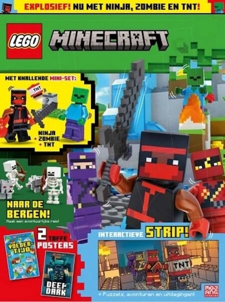 Lego Minecraft