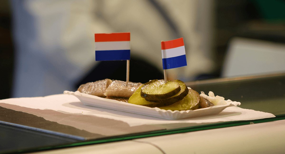 Nieuwsmedia steunen GPT-NL