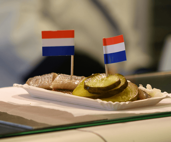 Nieuwsmedia steunen GPT-NL