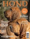 Onze Hond