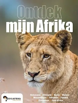 Oog voor Afrika