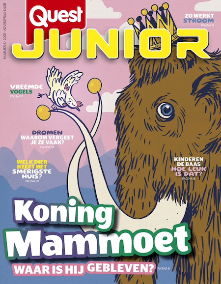 Quest Junior