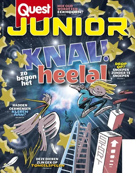 Quest Junior