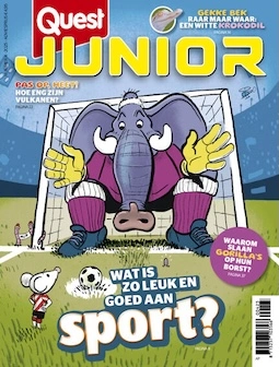Quest Junior