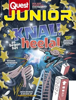Quest Junior