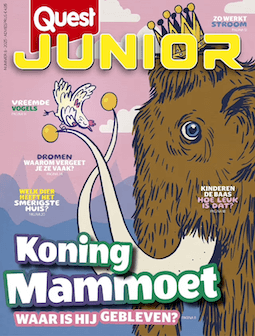 Cover van het kinderblad Quest Junior