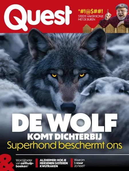 Quest