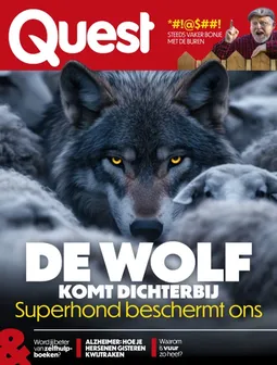 Quest