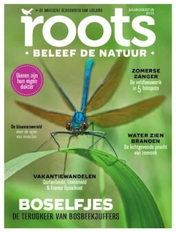 Roots