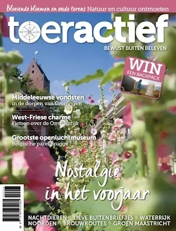 Toeractief