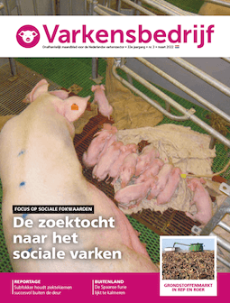 Varkensbedrijf