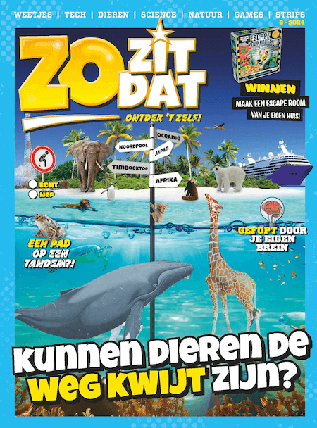 Zo Zit Dat
