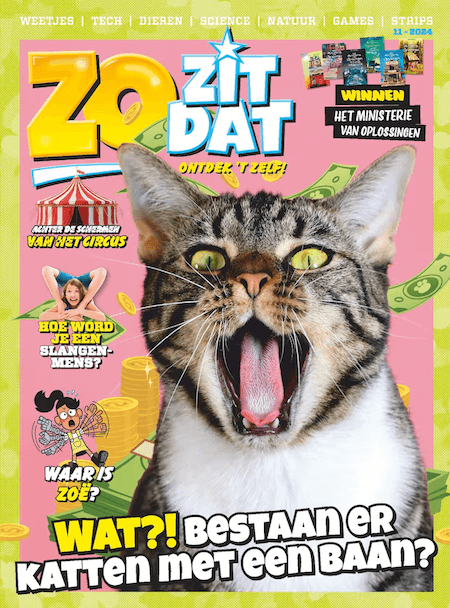 Zo Zit Dat