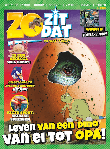Zo Zit Dat