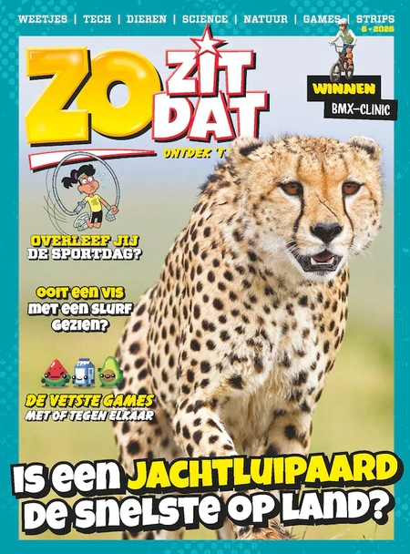Zo Zit Dat
