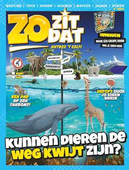 Zo Zit Dat