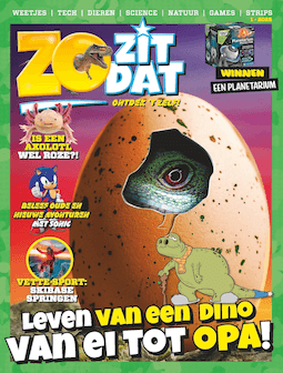 Zo Zit Dat