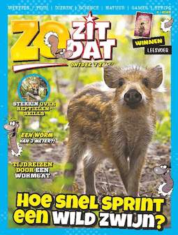Zo Zit Dat
