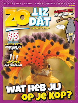 Zo Zit Dat